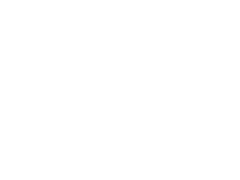 Pegasus Contemporary Ballet