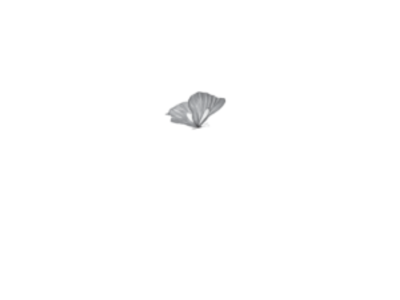 Wichita Falls Ballet Theatre Logo