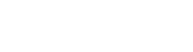 Pegasus Contemporary Ballet